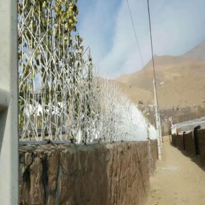 حفاظ شاخ گوزنی دیواری در ملارد