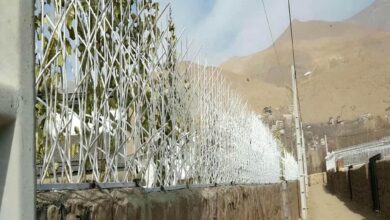 حفاظ شاخ گوزنی دیواری در ملارد