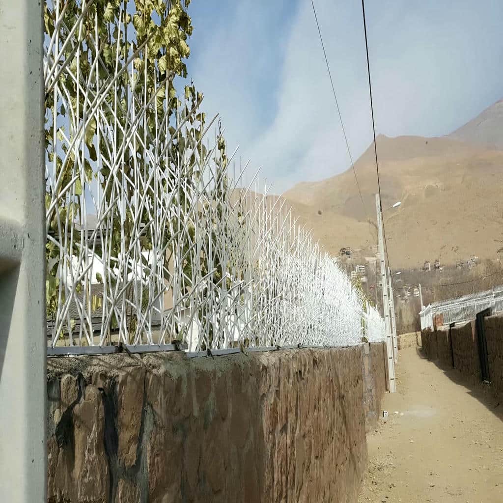 حفاظ شاخ گوزنی دیواری در ملارد