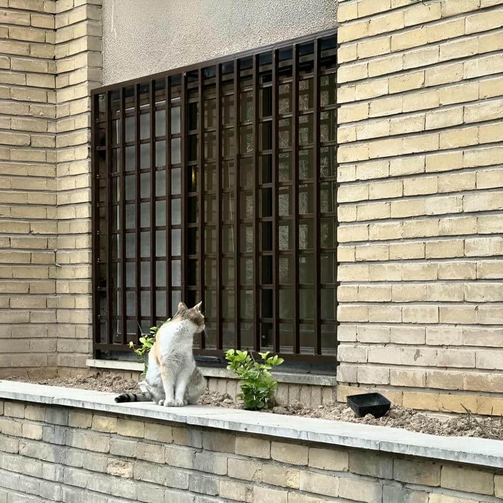 قیمت حفاظ پنجره فلزی فرفورژه در بومهن