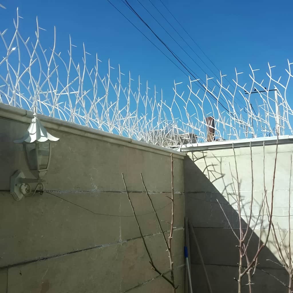 حفاظ شاخ گوزنی با تراکم مناسب شاخه های فلزی