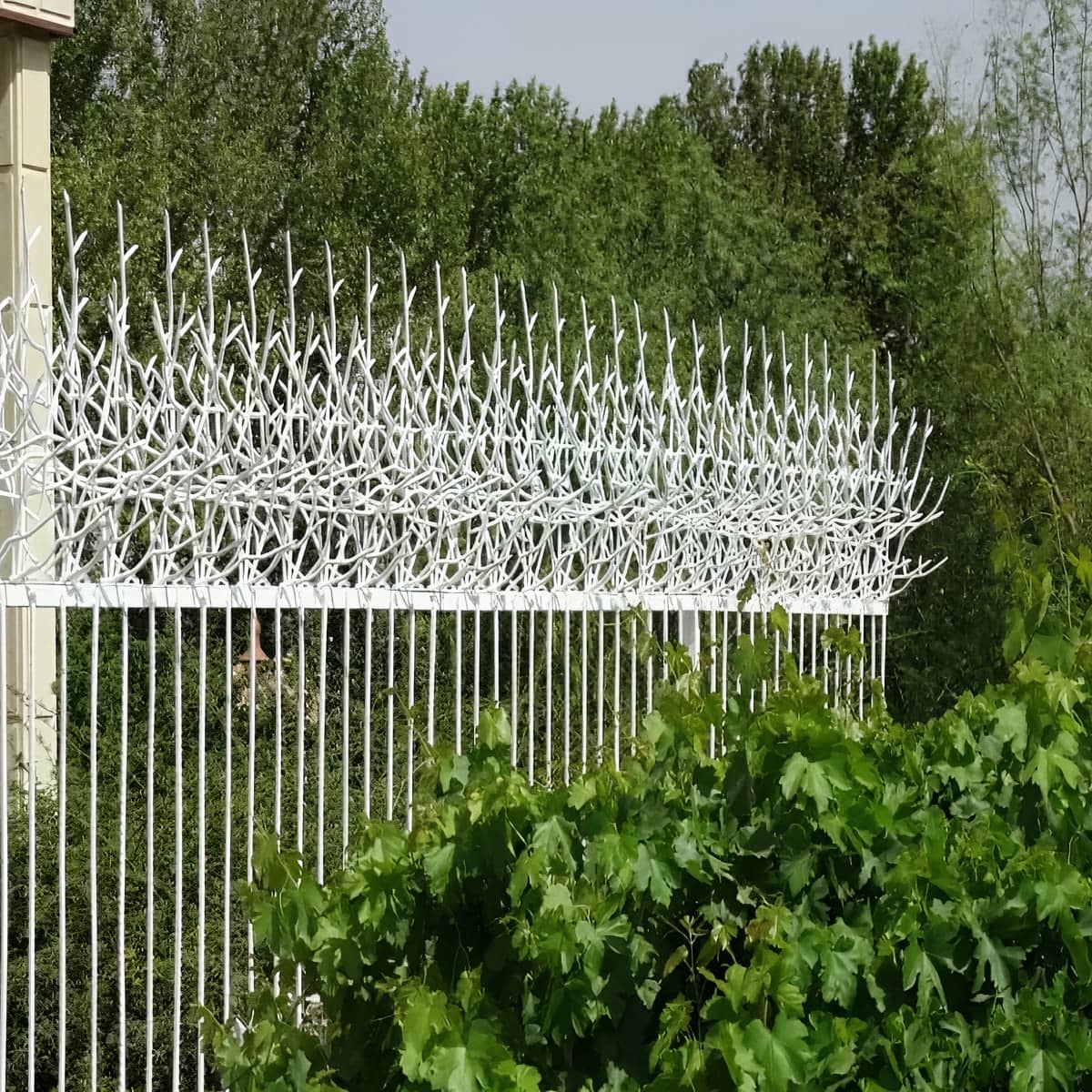 حفاظ شاخ گوزنی خاردار برای ایمنی دیوار