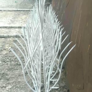 کاربرد حفاظ شاخ گوزنی برای دیوارهای مختلف