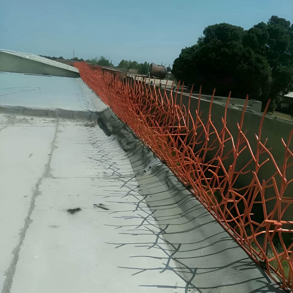 مقایسه حفاظ بوته ای بسیار متراکم و مدل نیمه‌متراکم
