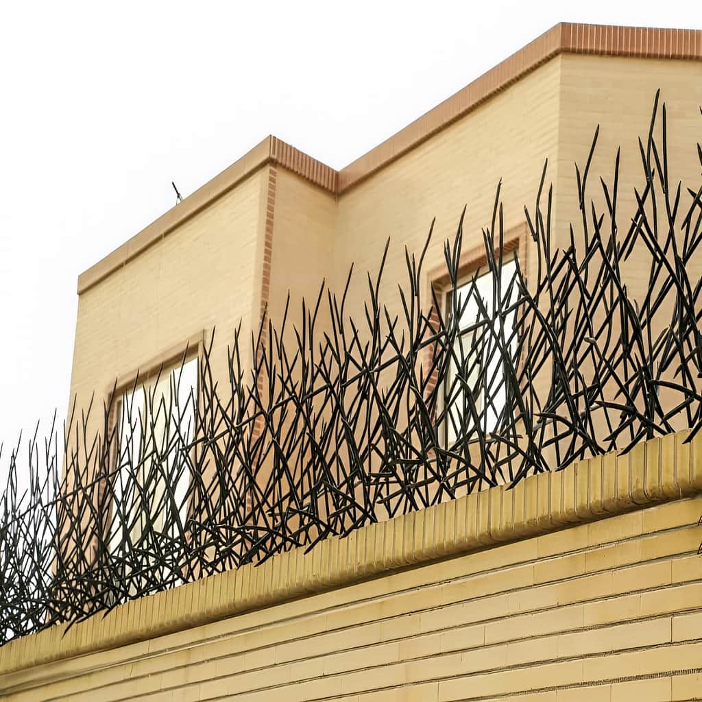 مدل لیلیوم حفاظ حیاط در مقایسه با طرح بوتهای