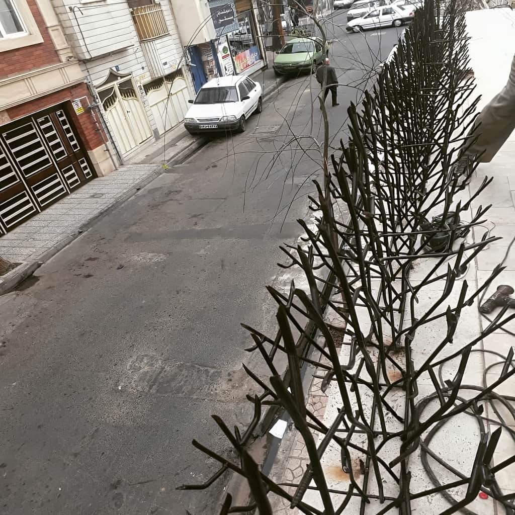 6 مدل حفاظ بوته ای دیوار پرتراکم