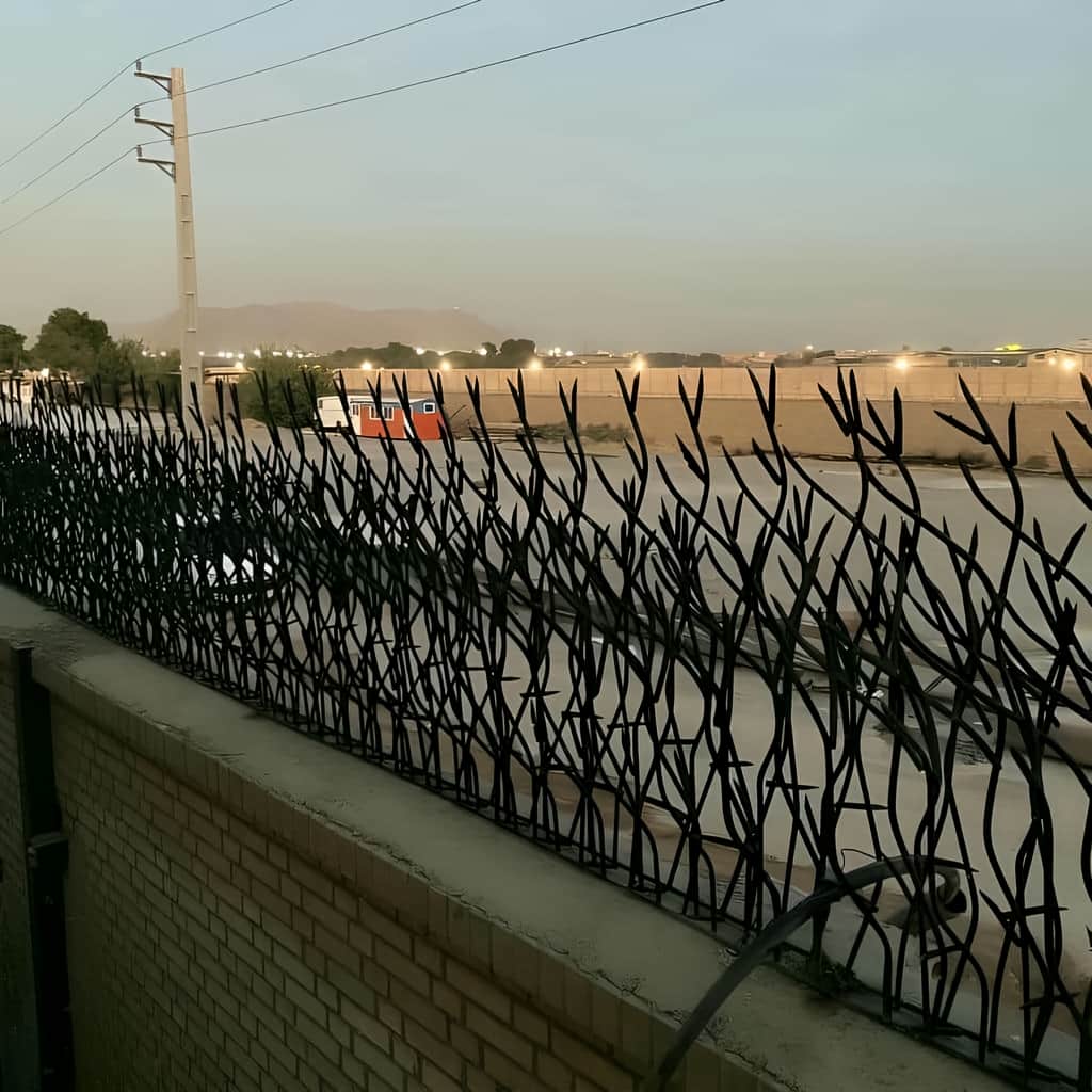 قیمت حفاظ بوته ای با مقایسه تراکم و ارتفاع