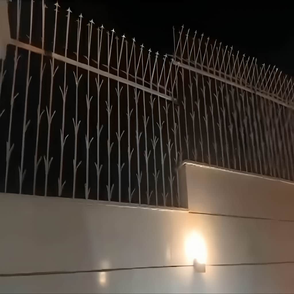 مدل شمشادی حفاظ ردیفی در مقایسه با طرح کوتاه و بلند