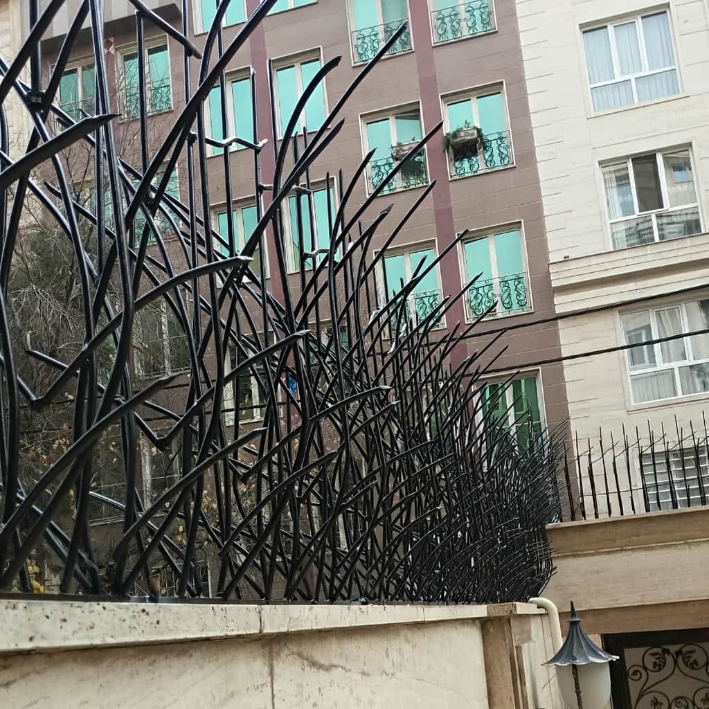 سفارش حفاظ نیزار دیوار باغ با ابعاد اختصاصی