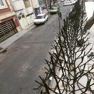6 مدل حفاظ بوته ای دیوار پرتراکم