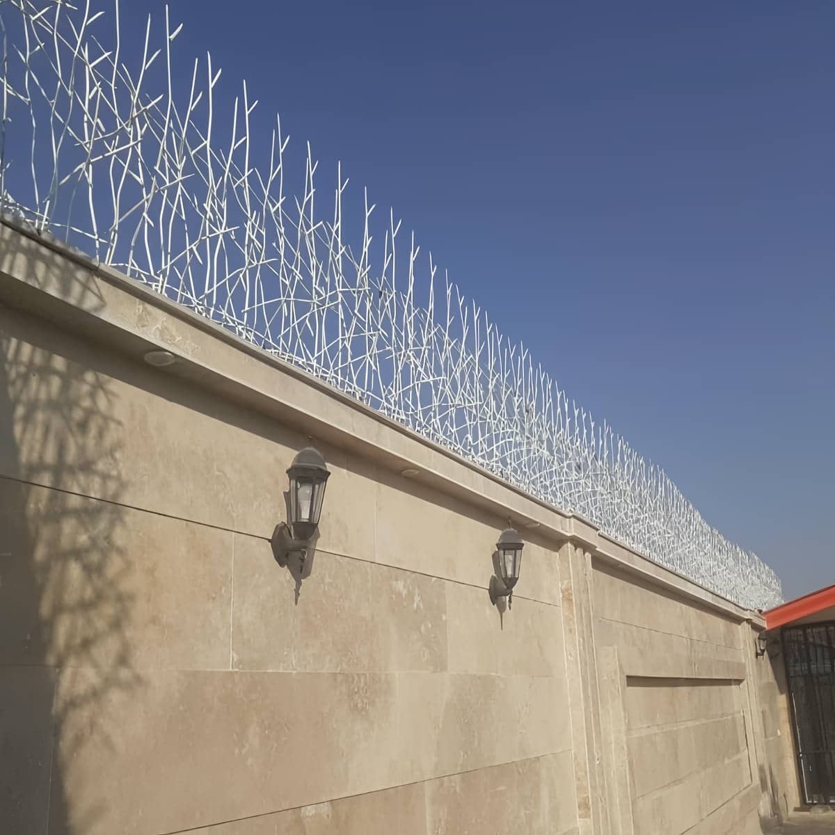 ویژگی های حفاظ شاخ گوزنی