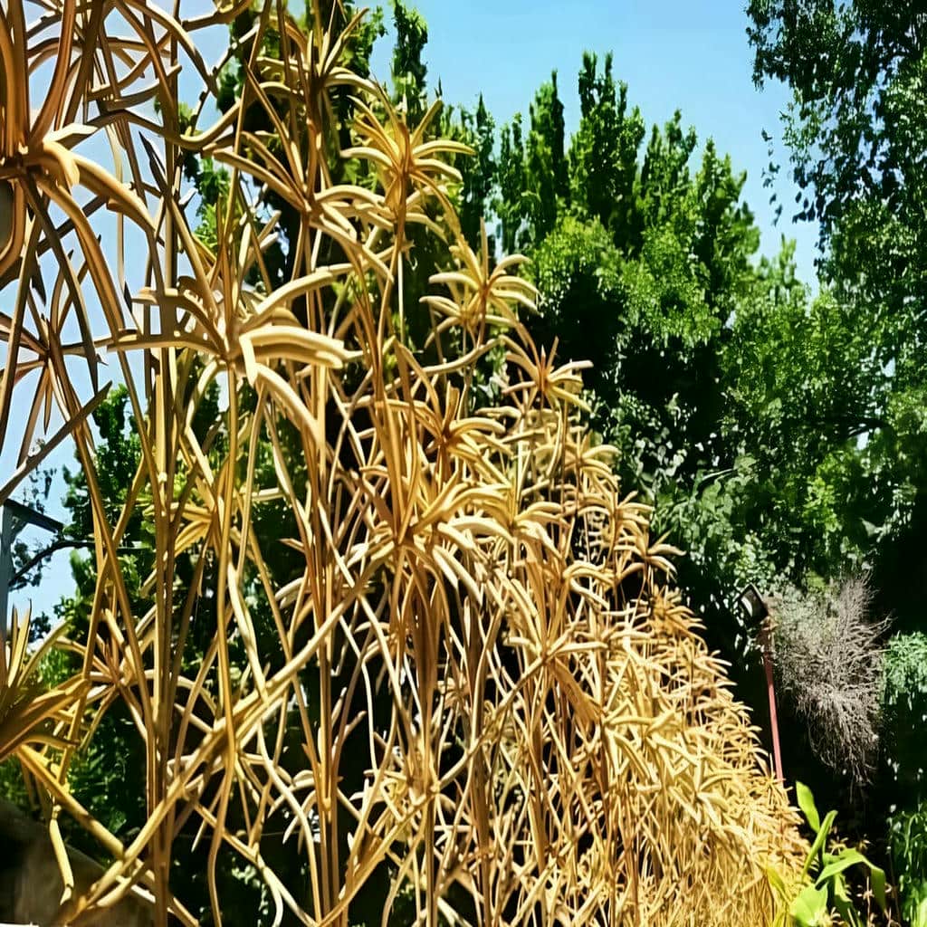 نرده آهنی و فلزی دیوار