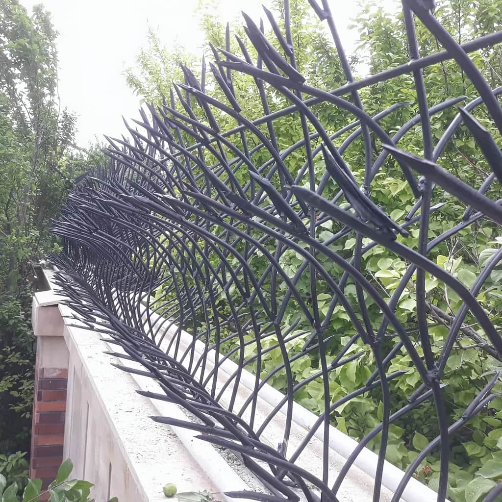 حفاظ غنچه ای دیوار گرم