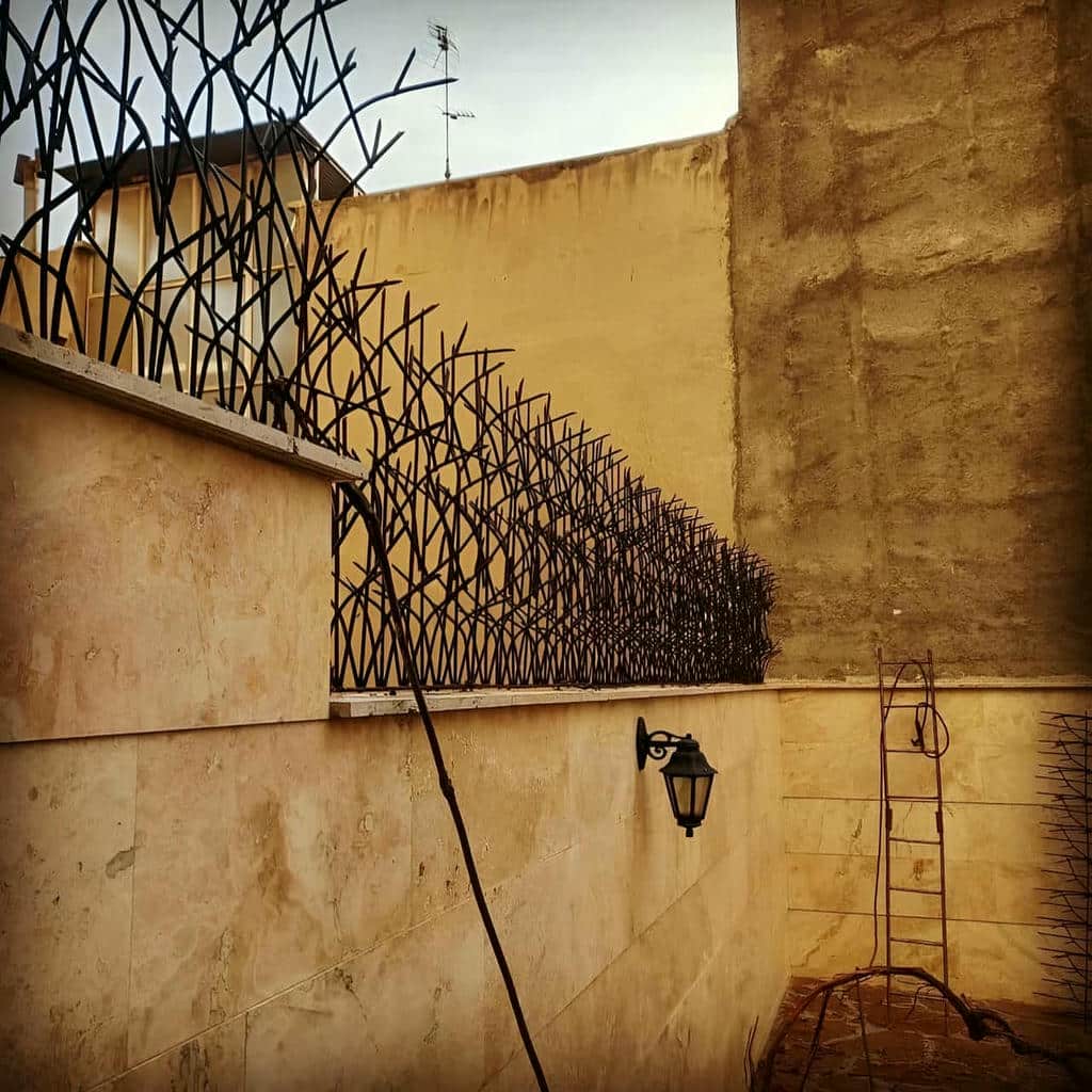 حفاظ دیوار فضای باز
