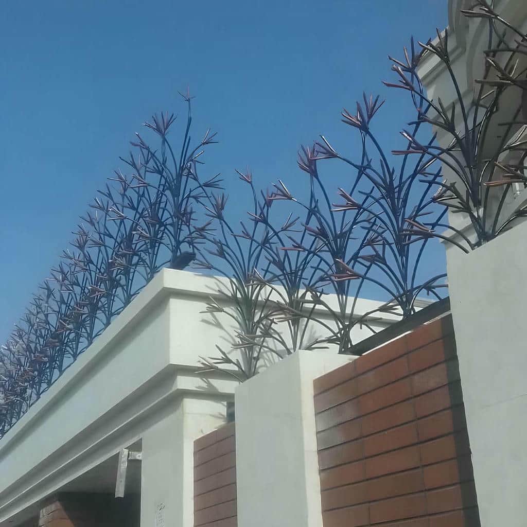 حفاظ دیوار حیاط شاخ گوزنی