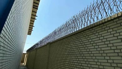 حفاظ دیوار مدل ایرانی